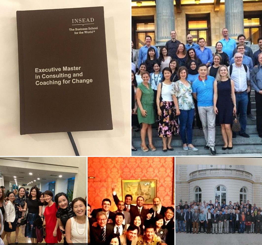 Reflections on my 2 part amazing Change journey with INSEAD